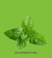 Menthol Flavours E-Liquids aevapeshop